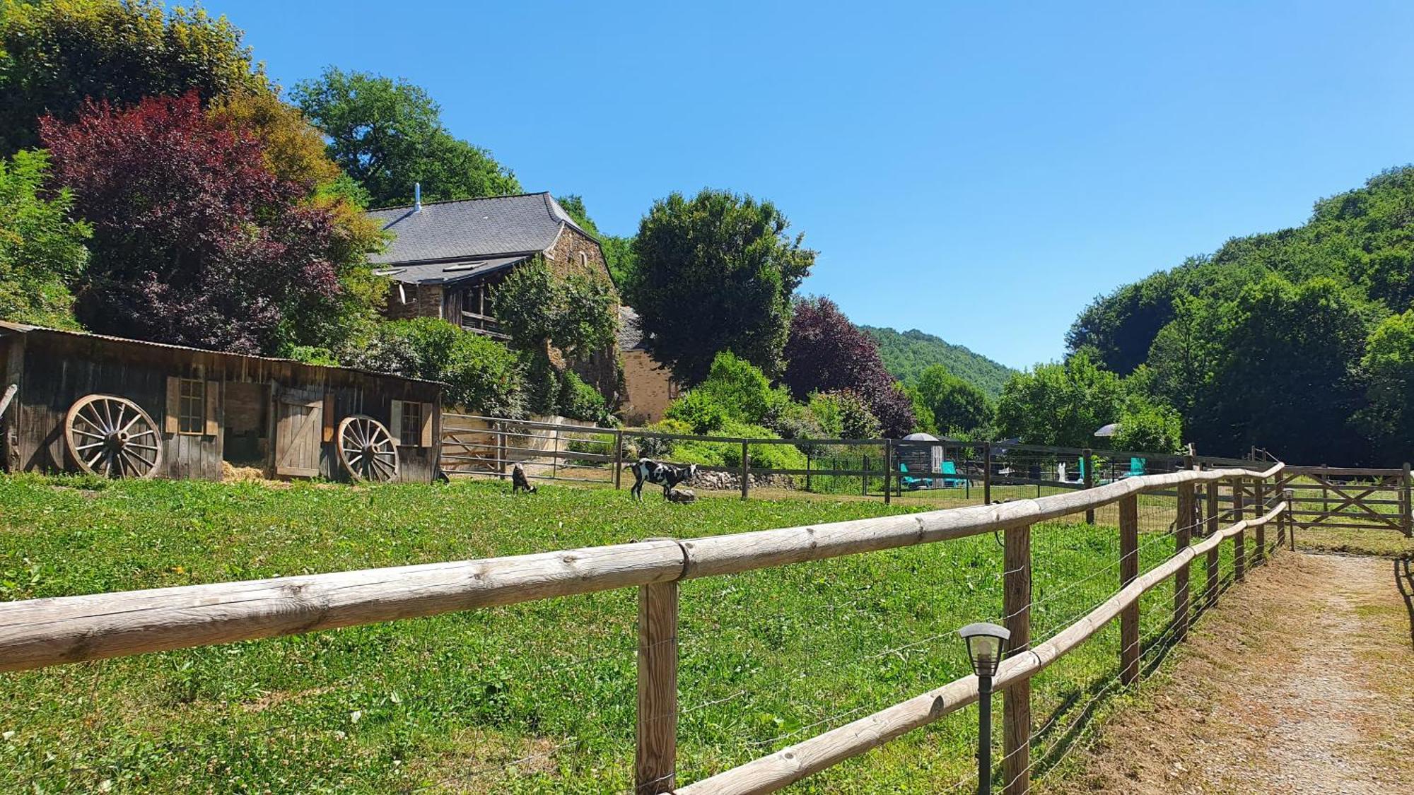 La Ferme Des Andes - Gite L'Atelier Quins Exteriér fotografie