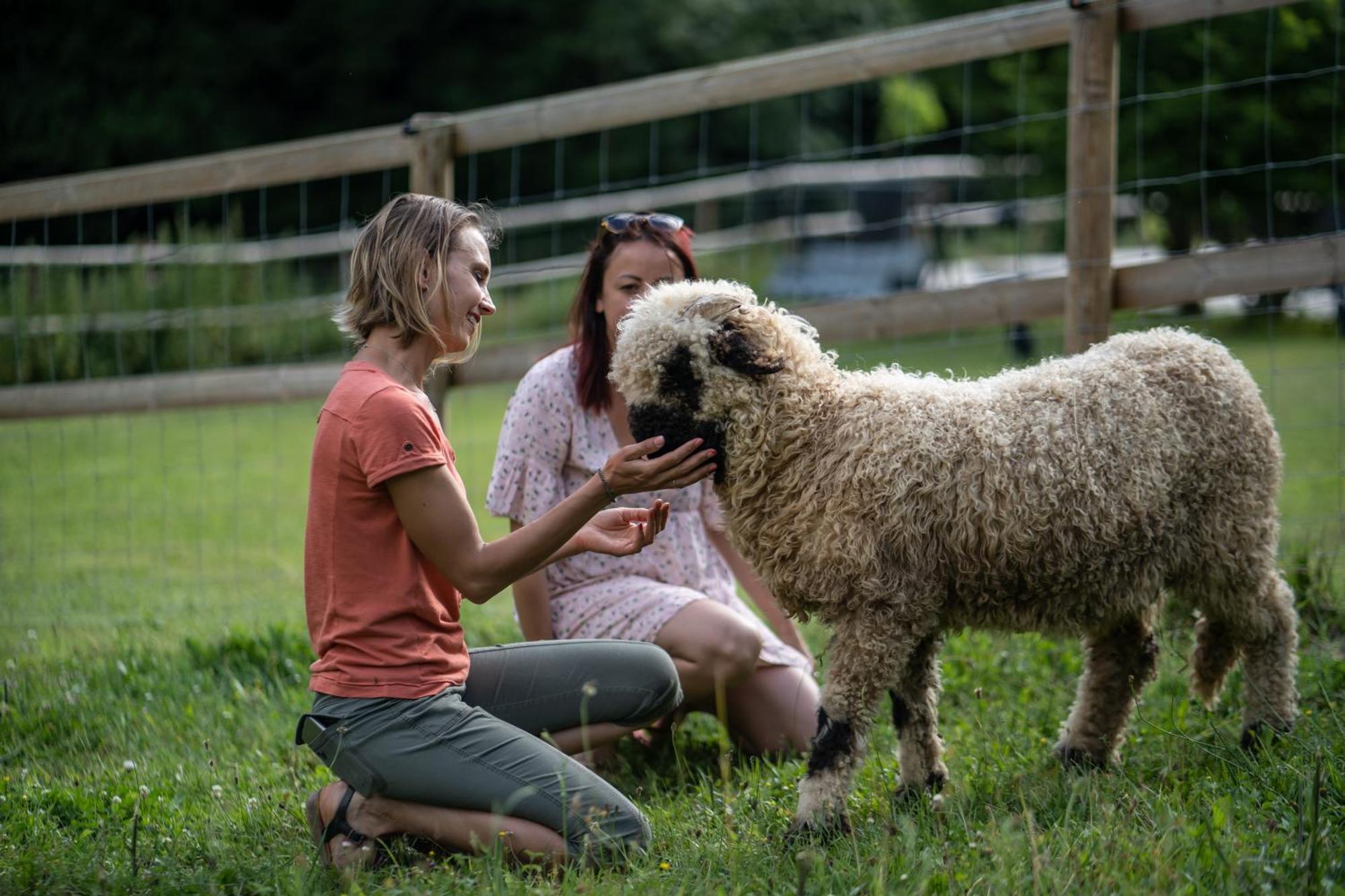 La Ferme Des Andes - Gite L'Atelier Quins Exteriér fotografie