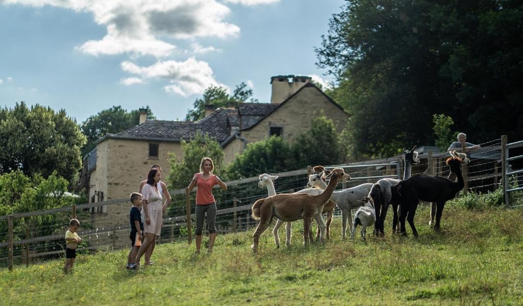 La Ferme Des Andes - Gite L'Atelier Quins Exteriér fotografie