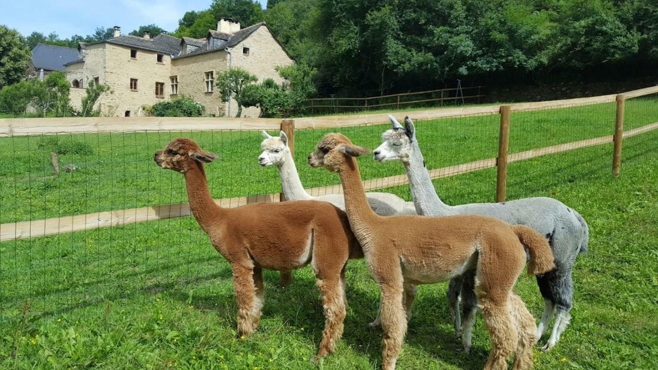 La Ferme Des Andes - Gite L'Atelier Quins Exteriér fotografie
