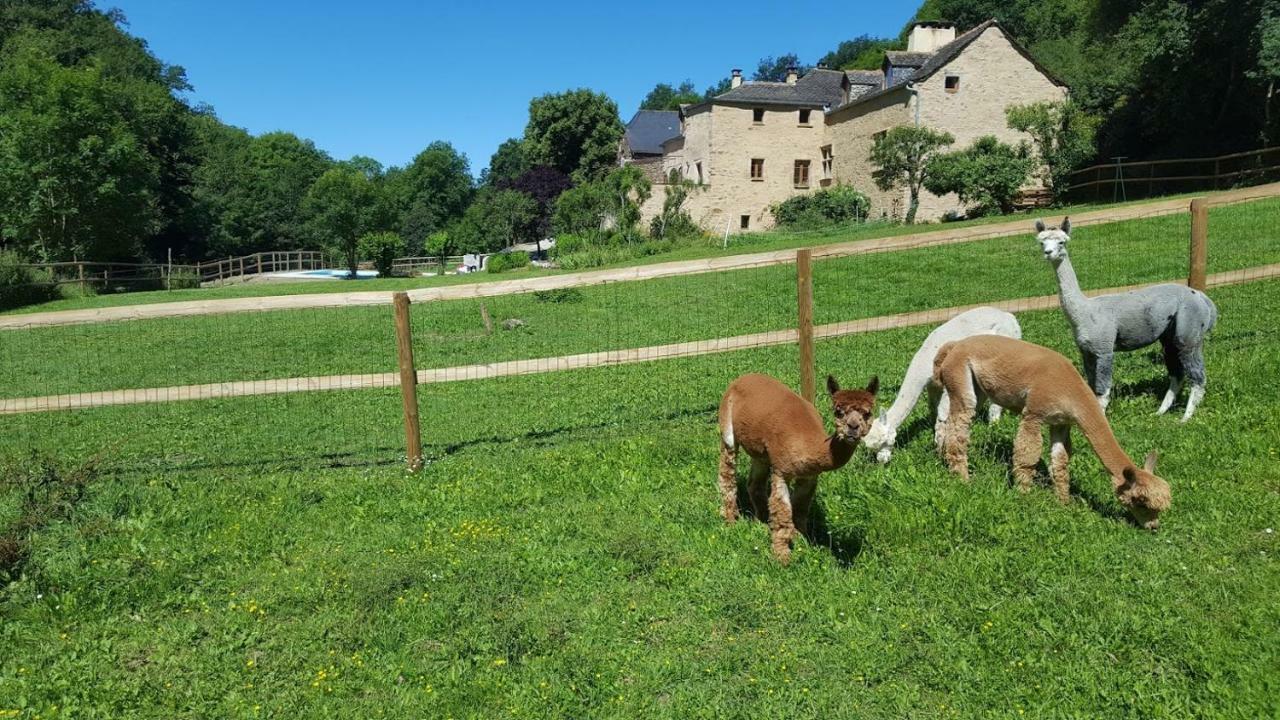 La Ferme Des Andes - Gite L'Atelier Quins Exteriér fotografie